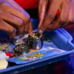 Семена конопли Auto White Widow feminised от Royal Queen Seeds img-1067.jpg