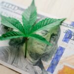 Правовые аспекты продажи гашиша img-107.jpg