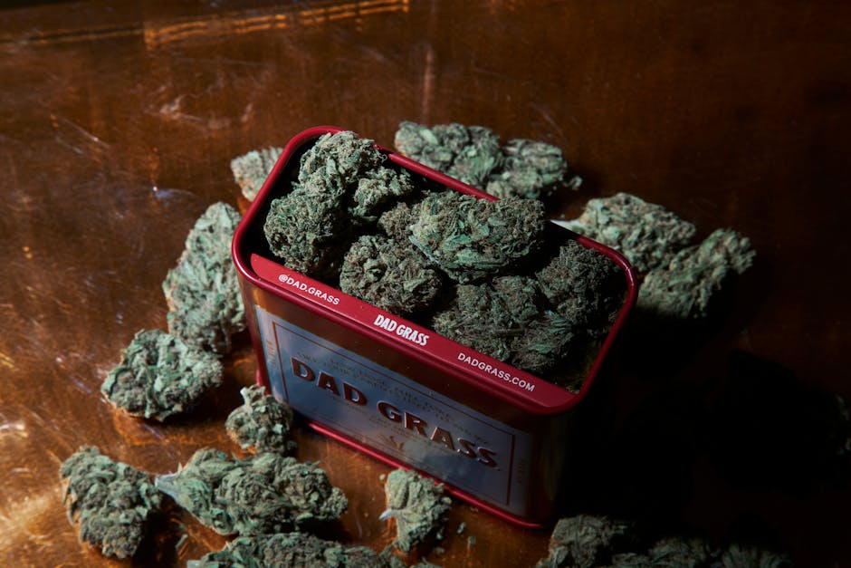 Купить спайс онлайн и его последствия