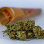 Урбеч из семян конопли полезные свойства и применение img-1549.jpg