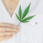 Купить семена конопли в Крыму img-1573.jpg