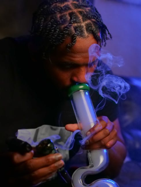 Покупка и выращивание семян конопли