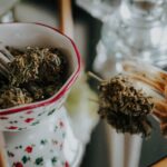 Покупка семян конопли в Екатеринбурге img-1787.jpg