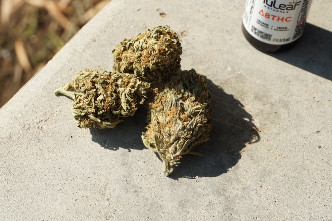 Выращивание конопли в Перми: где купить семена и на что обратить внимание