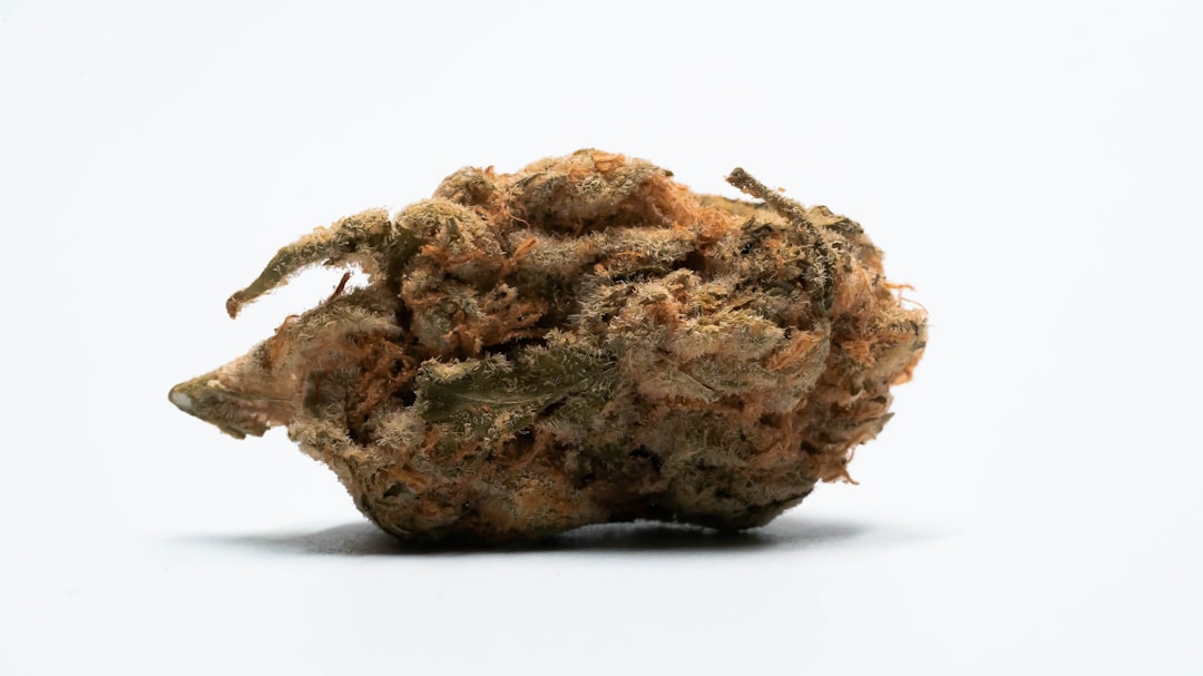 Купить гашиш в Уссурийске — риски и последствия