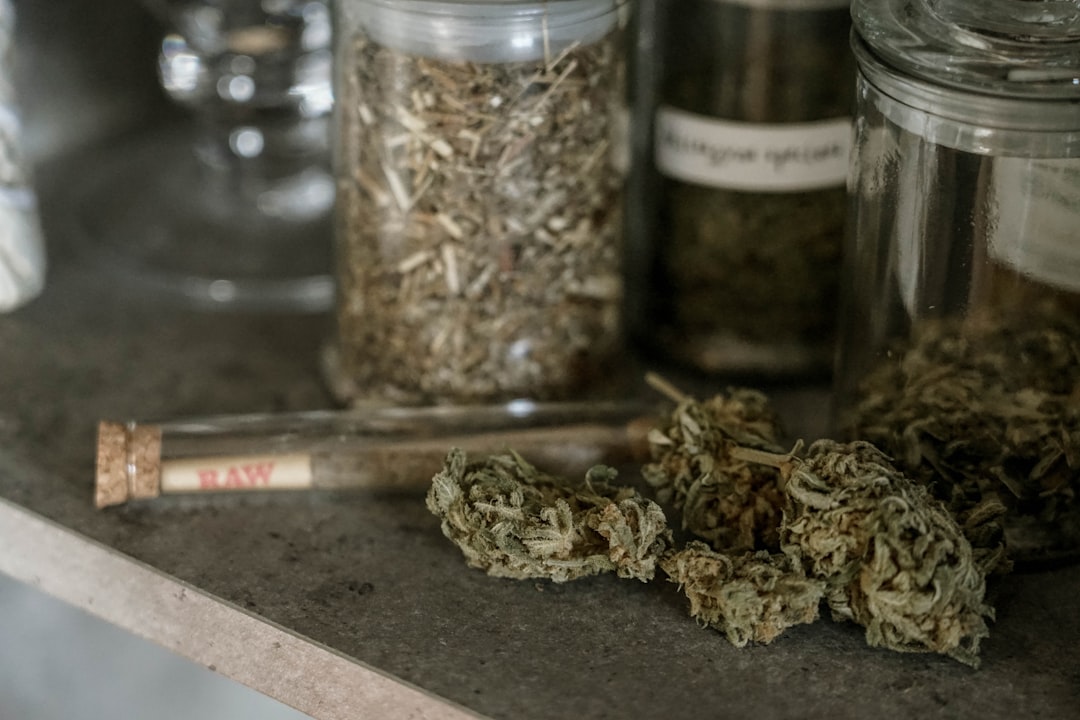 Выращивание конопли в открытом грунте