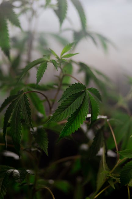 Марки с LCD-дисплеями: инновационная филателия