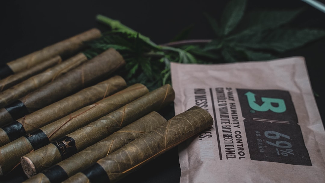 Свойства и применение конопли посевной и ее семян