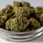 Сорта конопли с высоким содержанием ТГК и их значение img-257.jpg