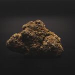 Особенности выращивания автоцветущей конопли сорта Мазар img-2587.jpg