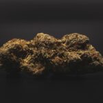 Сорт конопли Auto Blackberry Kush от Dutch Passion Seeds img-2588.jpg