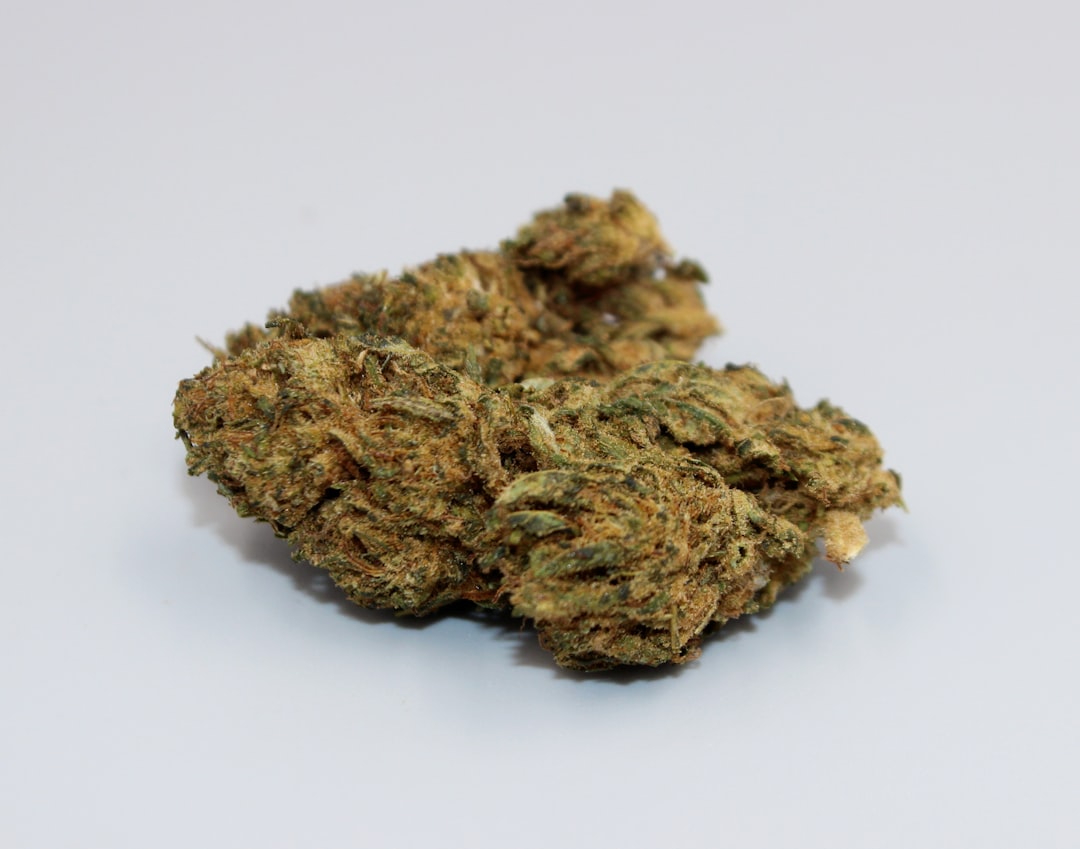 Полезные свойства и применение семян конопли