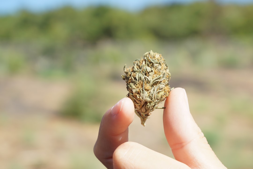 Наказание за незаконные действия с героином