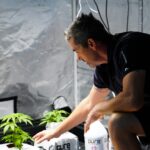 Где купить марихуану в Москве img-3118.jpg