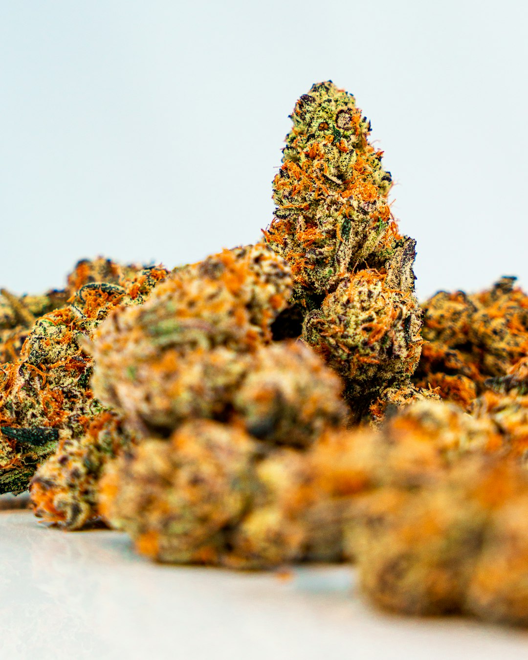 Семена конопли польза и вред для организма человека