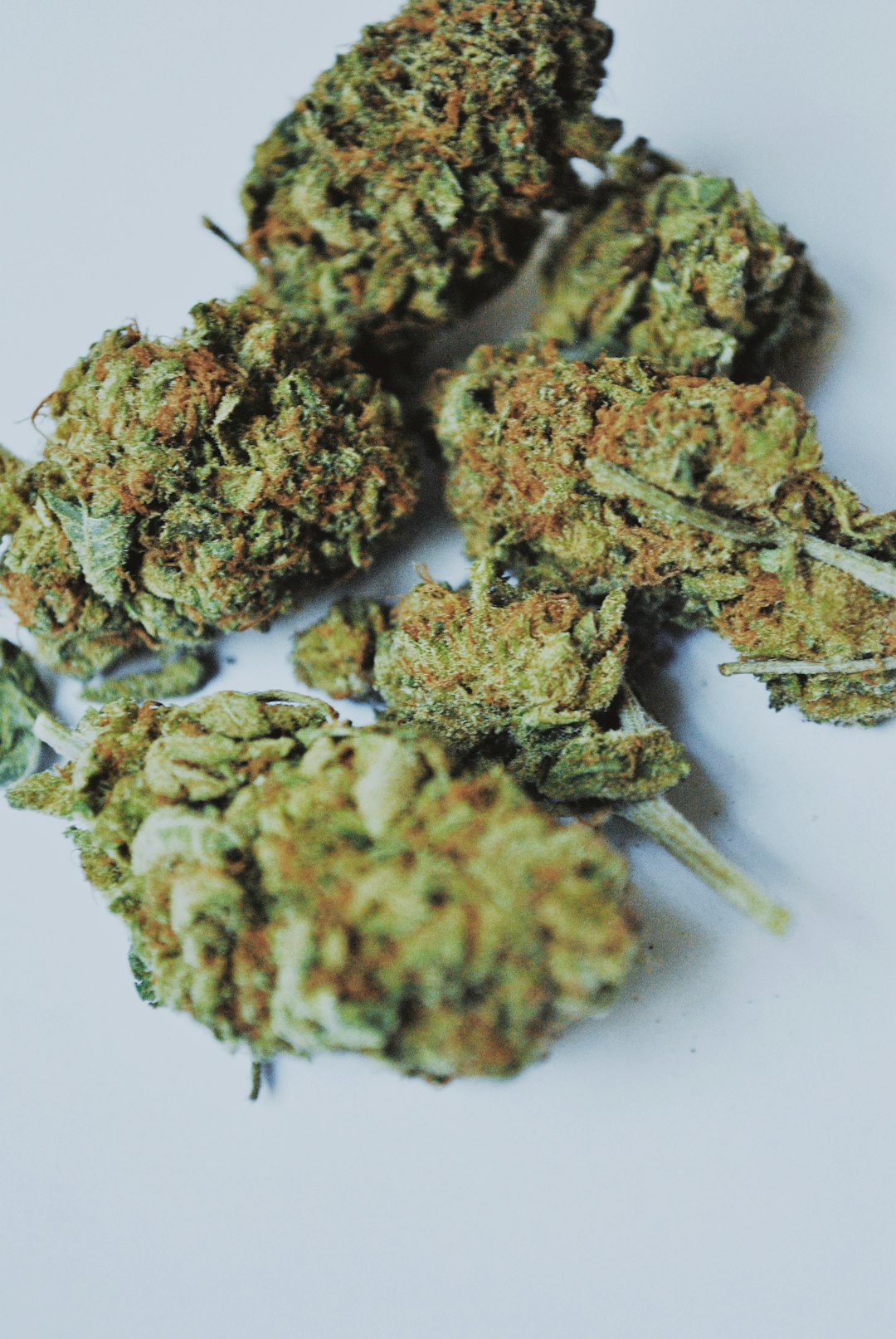 Купить семена конопли в интернет магазине России