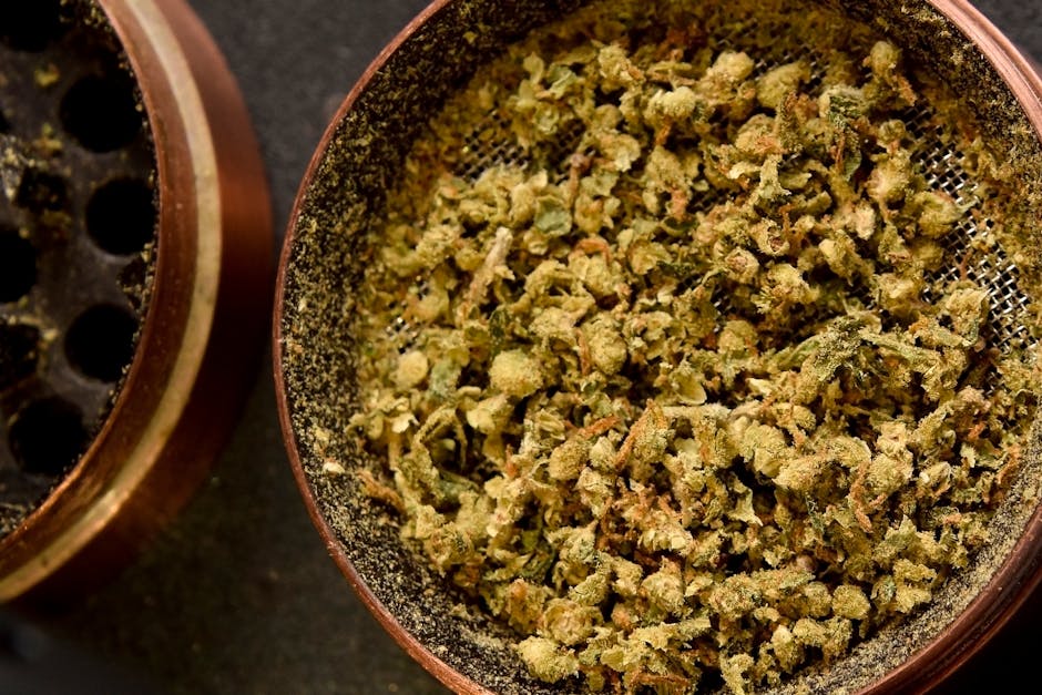 Что такое Кракен и как им пользоваться