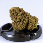 Приобретение и использование семян конопли img-854.jpg