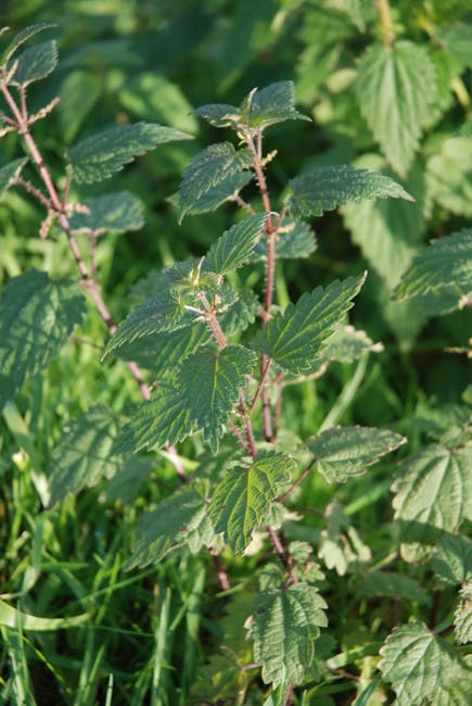 Kraken маркет как торговая площадка даркнета и способы безопасного доступа к ней