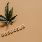 Легальная покупка семян марихуаны в России img-961.jpg